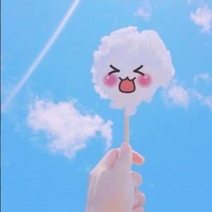 Meet your Posher, Lee